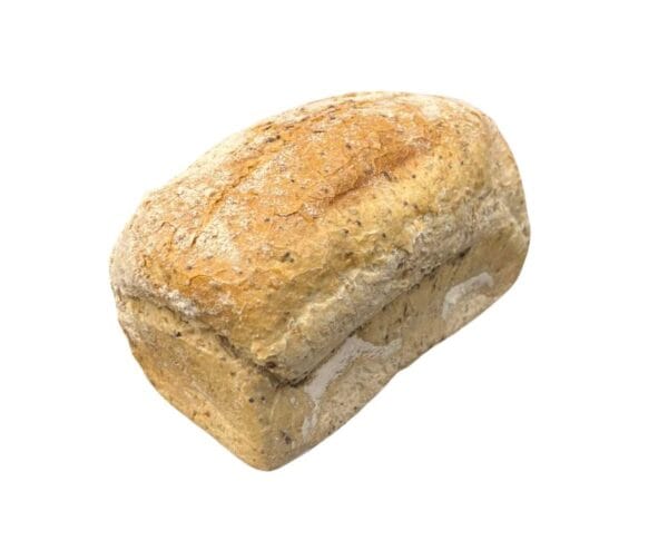 Axana brood