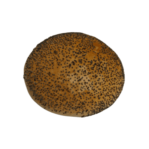 Pistolet wit met maanzaad